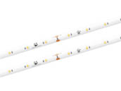 American Lighting STL-UWW-33 32.8 Ft. Standard Grade LED Tape Light, 24V, IP54, 2700K